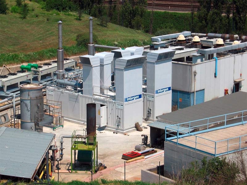 Intergen combined heat and power plant