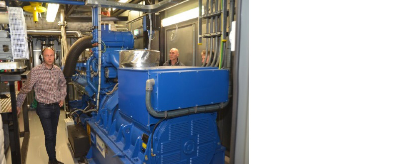 Einer der beiden in der Biogasanlage installierten MWM Gasmotoren TCG 2016 V12