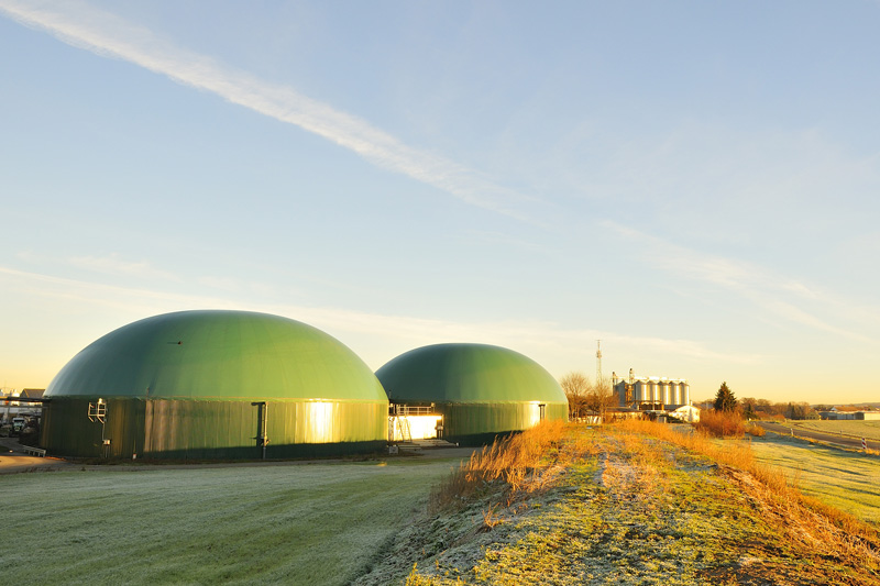 Praxisworkshops zur Flexibilisierung von Biogasanlagen