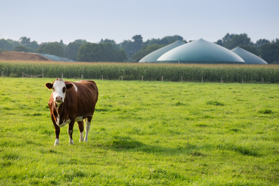 Dezentrale Energieversorgung mit Biogas.