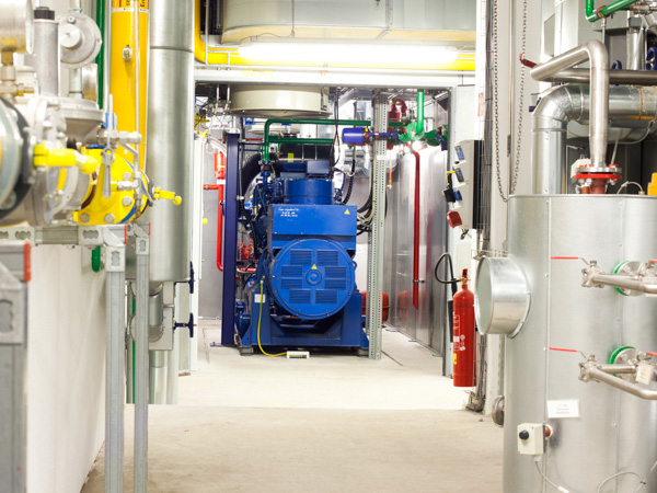 Cogeneration Power Plant Solutions