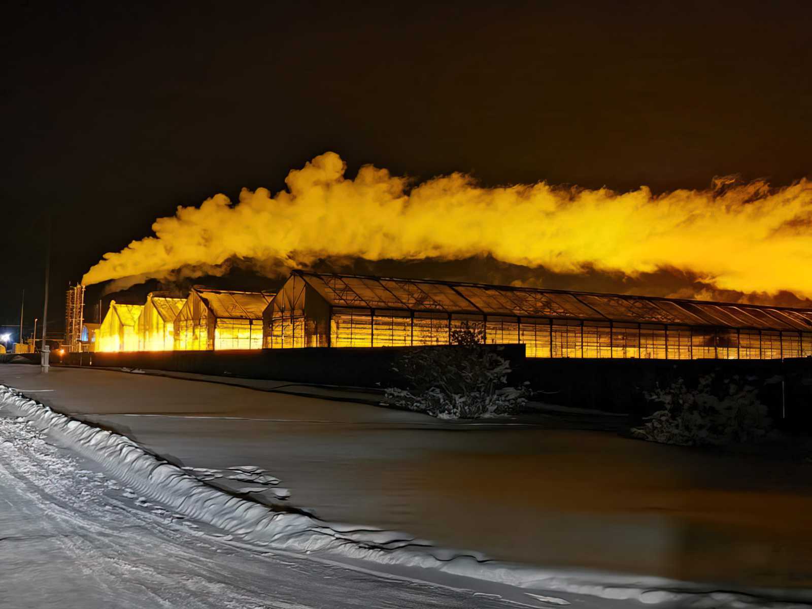 Gewächshauskomplex Sayuri im Winterbetrieb