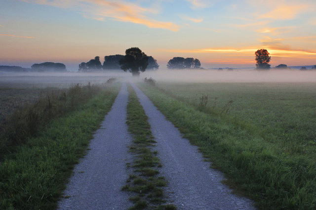 Fields and meadows as far the eye can see: the heavily agricultural Altmark region in the north of Saxony-Anhalt 