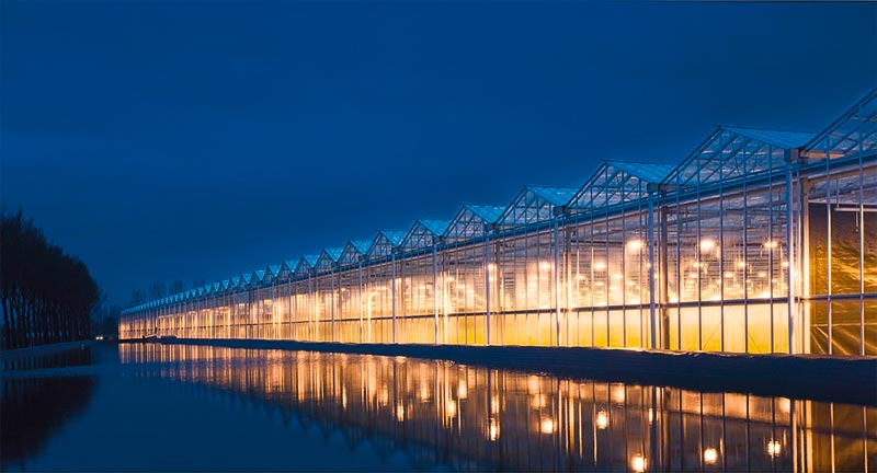 MWM Benelux, specialist for cogeneration systems in greenhouses